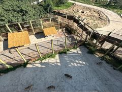 -青藏高原野生动物园
