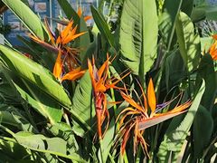 -国家植物园南园