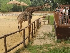 -北京野生动物园