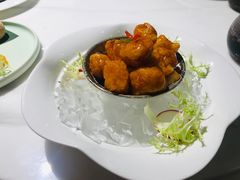 -点都德·毕德寮