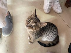 -花乐餐厅(涠洲岛店)