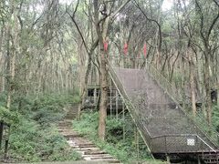 -富春桃源风景区