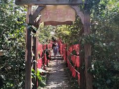 -海南铜鼓岭景区