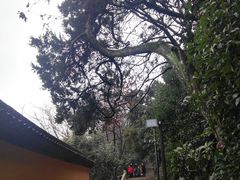 -狼山风景名胜区