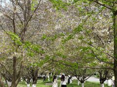 -南京工程学院(江宁校区)