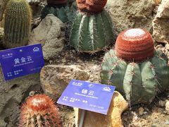 -国家植物园南园