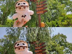 -上海欢乐谷