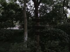 -墅园