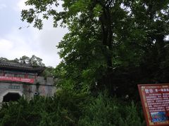 -珠海圆明新园