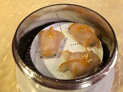 蓝天使虾金鱼饺-8餐厅(新葡京酒店)