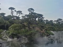 -罗红摄影艺术馆