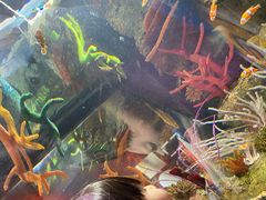 -沈阳海洋探索中心