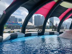 -东港音乐喷泉广场