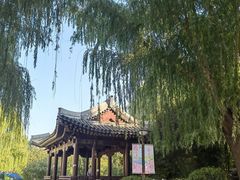 -元大都城垣遗址公园