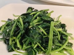 -云中小雅