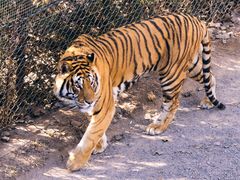 -济南野生动物世界