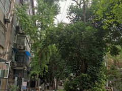 -西安市长乐公园