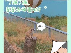 -无锡动物园·太湖欢乐园