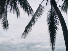 -三亚西岛海洋文化旅游区