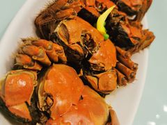 -新吉士·上海菜(浦东LCM置汇旭辉店)