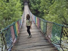 -北极村旅游风景区