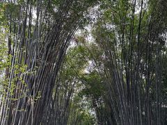 -成都杜甫草堂博物馆