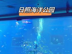 -日照世帆赛基地