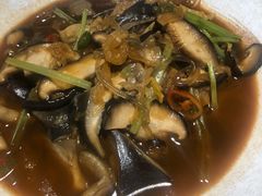 -素虎小呆鸟(西二旗店)