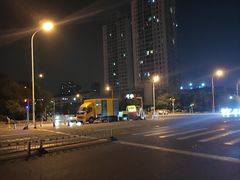 -桃花堤公园