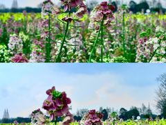 -中国天府农业博览园