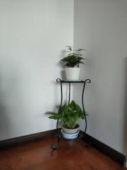 -梵未理疗瑜伽工作室