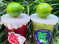 -炖物24章·顺时轻养茶(杭州大厦店)