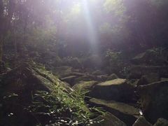 -银瓶嘴森林公园