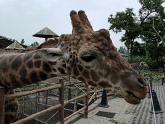 -西安秦岭野生动物园