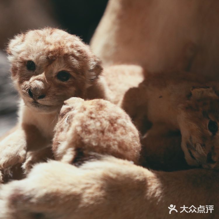 昆虫身上的奥秘