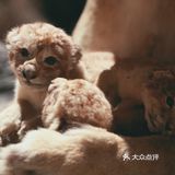 昆虫身上的奥秘