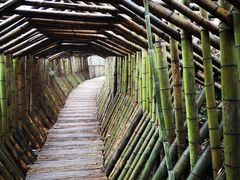 -水墨汀溪风景区
