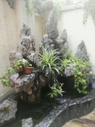-素颜秀·纹眉·野生眉·纹唇半永久