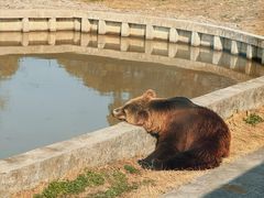 -上海野生动物园