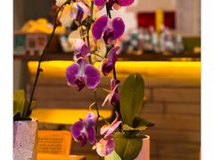 -北平花园·MUA摩造汉堡·北平咖啡(南锣鼓巷胡同店)