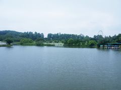 -南沙蒲洲花园