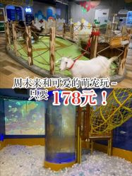 -七巧国萌宠乐园(龙湖天街店)