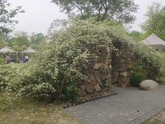 -鹅湖玫瑰文化园