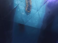 -青岛东方影都融创水世界