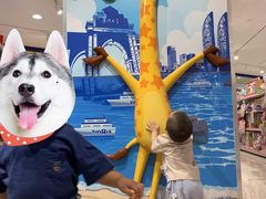 -TOYSRUS玩具反斗城(厦门中华城店)