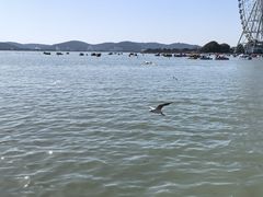 -蠡湖大桥公园