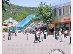 -大连森林动物园