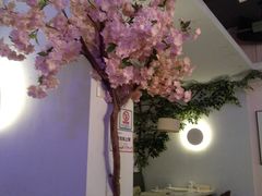 -樱花里音乐餐吧·牛扒椰子鸡(东圃店)