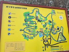 -青藏高原野生动物园