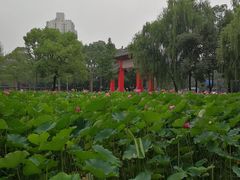 -四川大学(望江校区)